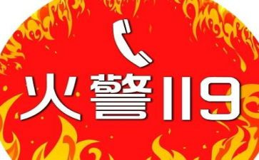 119活动日心得体会8篇