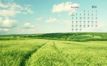 2024.12月党日活动心得体会最新7篇