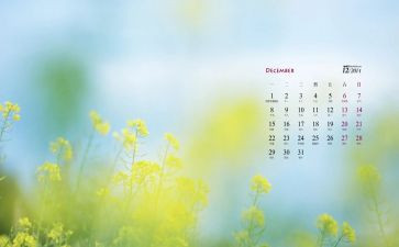 幼儿园教师12月工作总结6篇