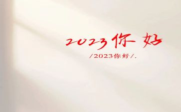 审计个人2023工作总结参考6篇