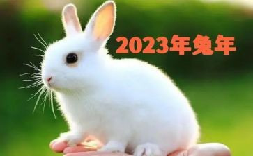 2023年船厂心得体会8篇
