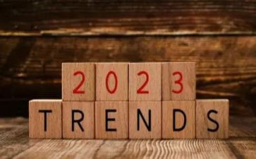 2023年党内法规工作总结6篇