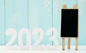 2023到2023第一学期工作总结通用5篇