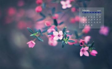 2月份工作总结范文8篇