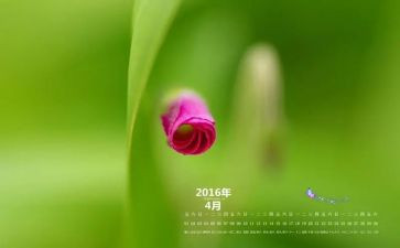 4月的工作总结和计划7篇
