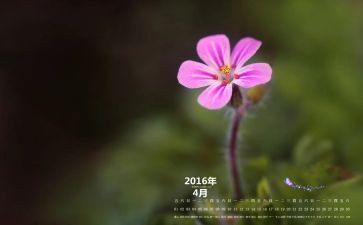 2024幼儿园4月份月计划5篇
