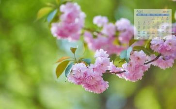 小学班主任4月份工作总结6篇