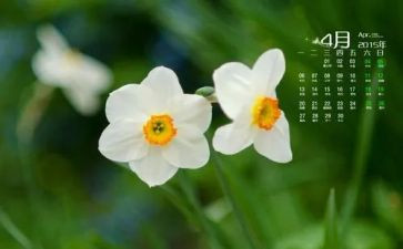 幼儿月4月份工作计划5篇