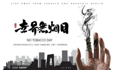 教师531研修总结优秀8篇