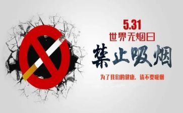 教师531研修总结推荐6篇