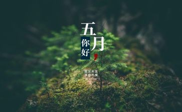 5月餐饮工作总结6篇