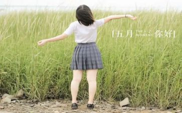 5月销售工作总结通用6篇