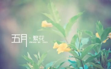 5月职工运动会致辞稿7篇