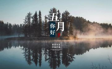 小学班主任5月份工作总结5篇