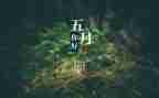 5月销售工作总结5篇