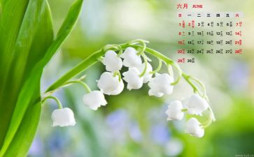 6月工作计划范文7篇