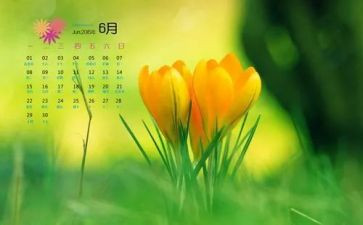 6月幼师工作总结8篇