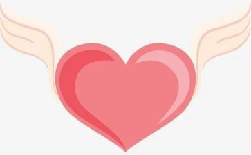 懂农村爱农村心得体会6篇
