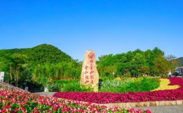 安吉户外游戏心得体会6篇