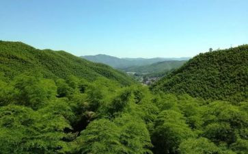 安吉游戏心得8篇