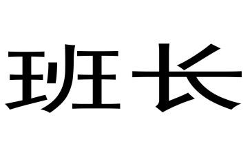 保安班长总结个人总结8篇