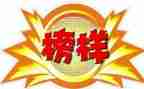 榜样5感心得体会7篇