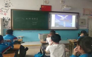 学生安全教育班会课教案模板7篇