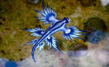 生物实习心得体会5篇