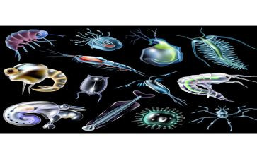 高二上生物教师工作总结8篇
