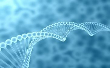 作文我的生物老师作文5篇