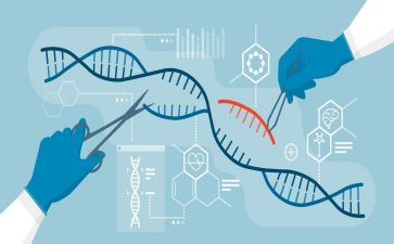 高二下学期生物教学计划6篇