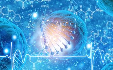八上生物教师工作总结5篇