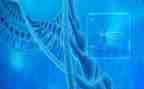 生物教师新学期工作计划8篇