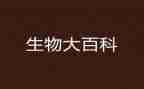 初一生物调查报告7篇