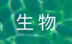 高中生物教师工作计划5篇