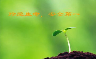 大班班级安全教育工作计划7篇
