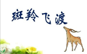 斑羚飞渡读后感最新7篇