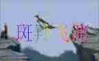 《斑羚飞渡》读书心得优秀5篇