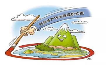 保护的环境调查报告8篇