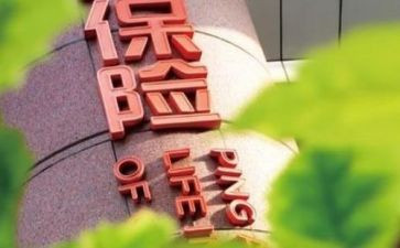 入保险公司的心得体会优质8篇