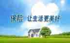 在保险公司个人总结精选6篇