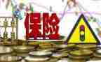 保险个人简历模板7篇