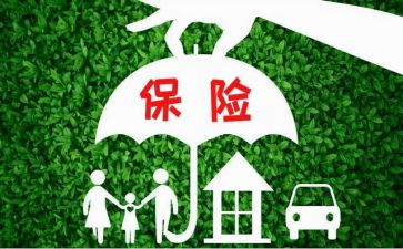 2024年保险业务员工作总结6篇
