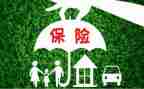 2024年保险业务员工作总结6篇