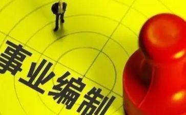 编制转正个人总结6篇