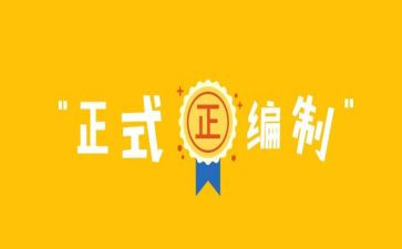 局编制工作总结8篇