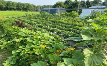鲁菜介绍发言稿范文7篇