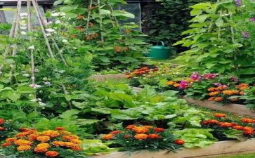 蔬菜买卖合同优质8篇