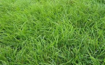 县烟草财务述职报告8篇