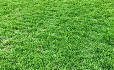 草房子字读后感300字优质5篇